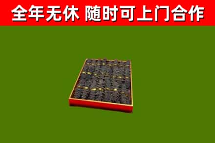 北辰回收海参